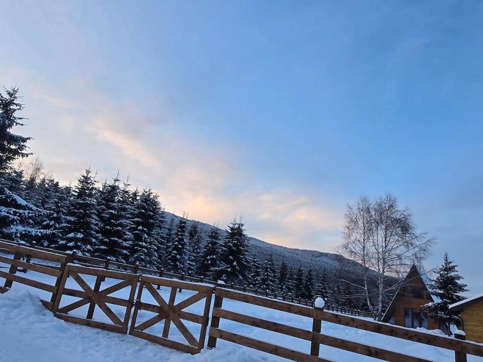 DB Forest Resort 2 Chalet in Romania