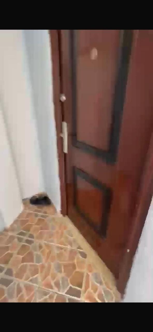 Olive & Sea Apartment Apartment in Vlorë County, Albania