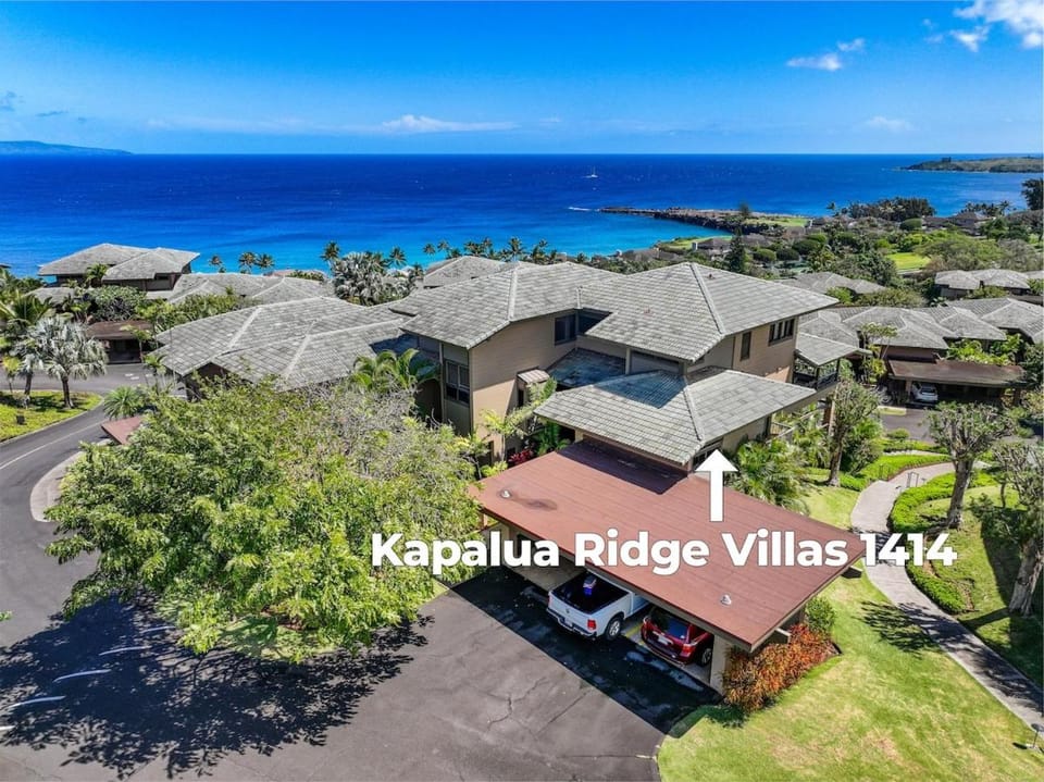 Remodeled 2BD Kapalua Villa w Superb Ocean View - Kapalua Ridge Villa 1414 House in Kapalua