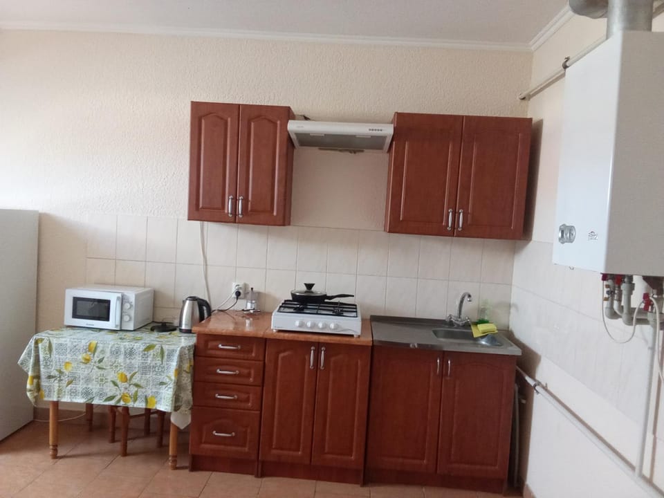 Центр 2 спальні , 5 місць Apartment in Ukraine