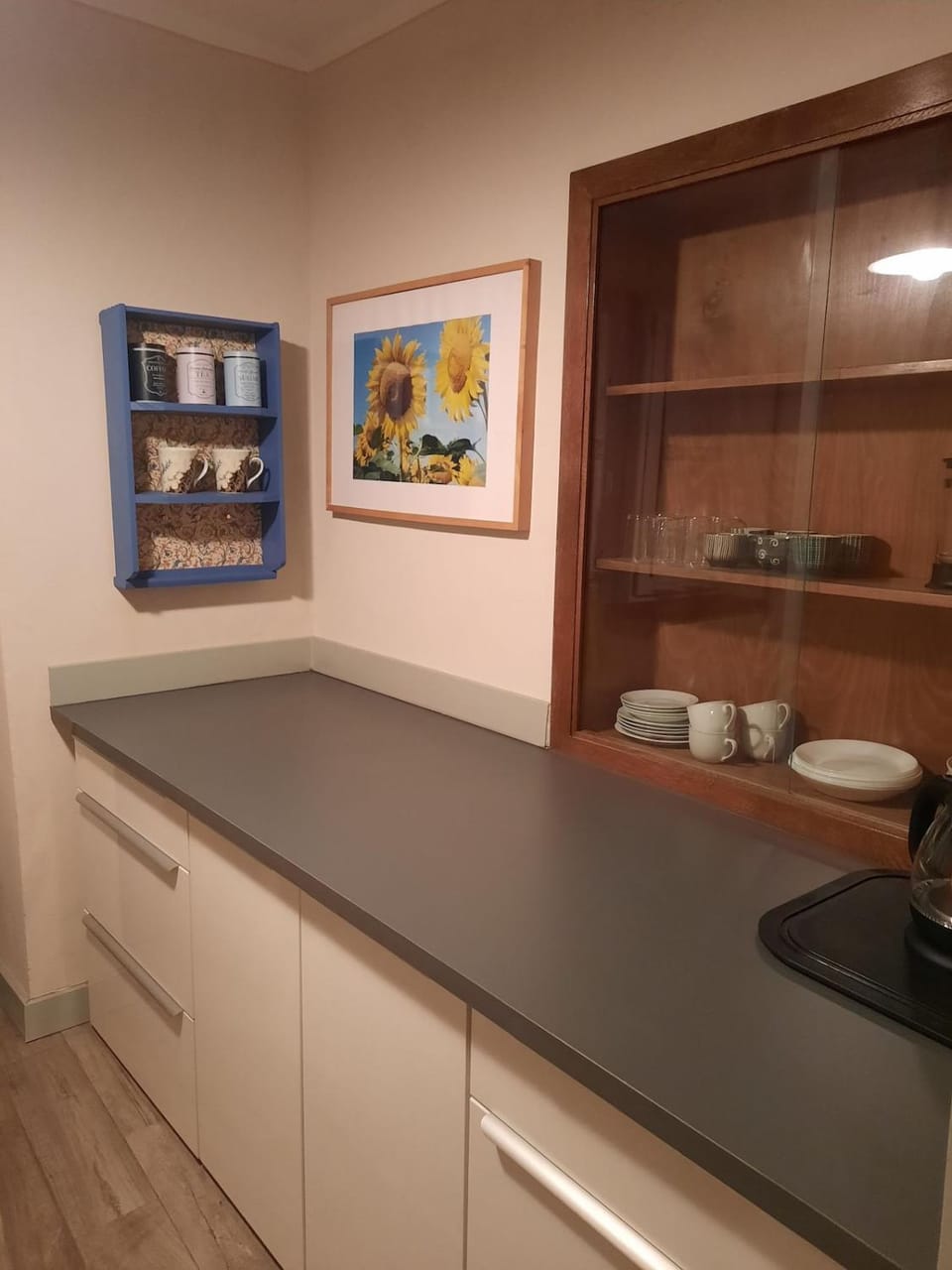 Kitchen or kitchenette, kitchen