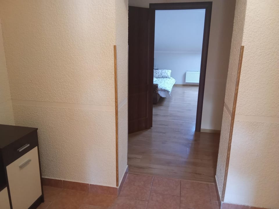 Центр 1 кім квартира 5-6 місць Apartment in Ukraine