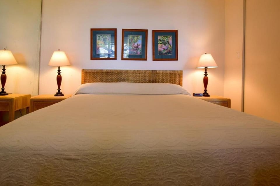 Napili Point A8 OceanFront 1BD Condo w Superb Ocean Views AC Pool House in Kapalua