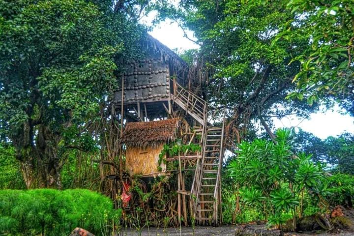 Yasur Adventure Tree house Apartment in Vanuatu