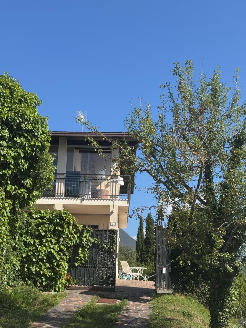 Property building, Day, Garden