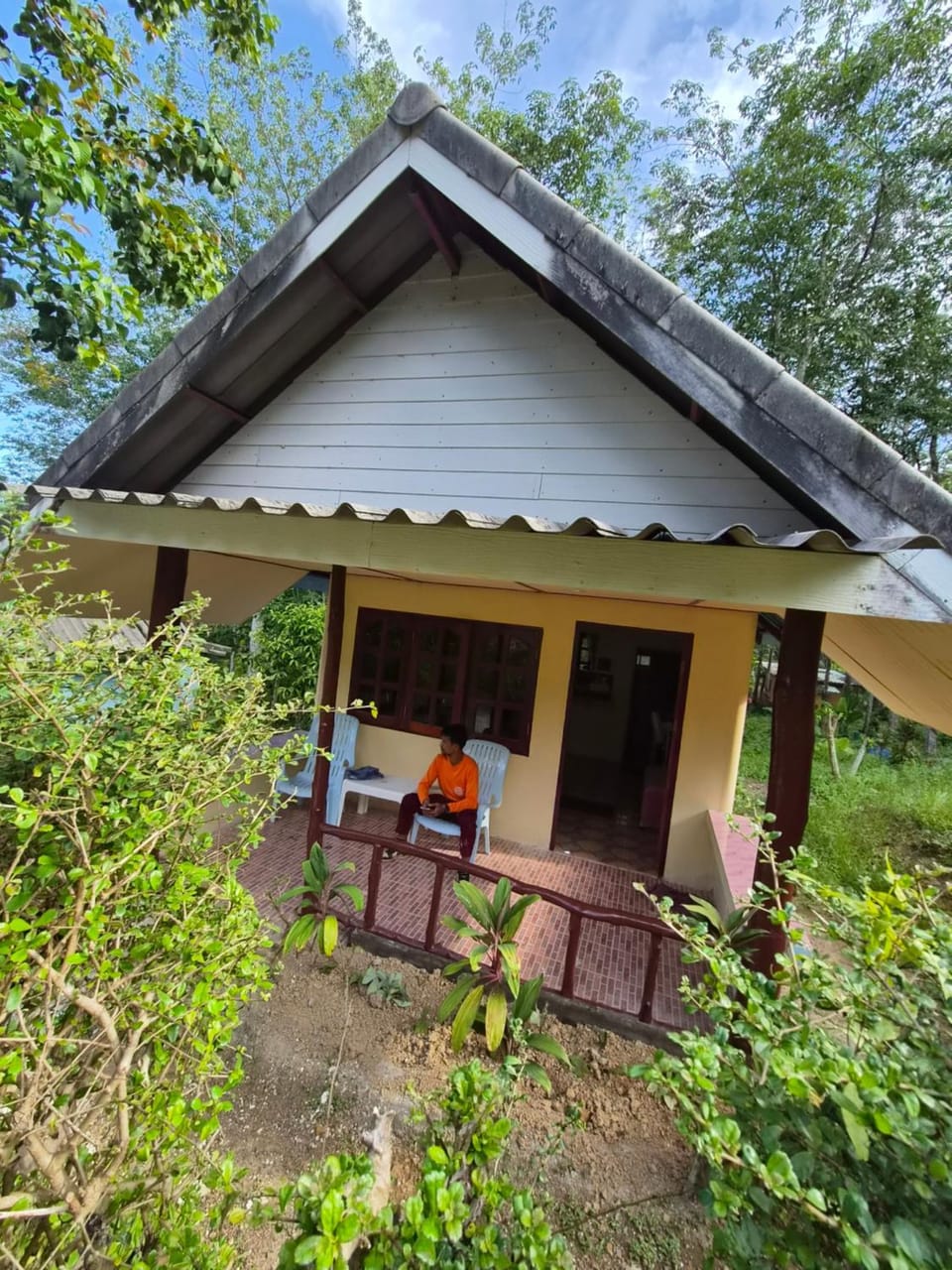 Garden view