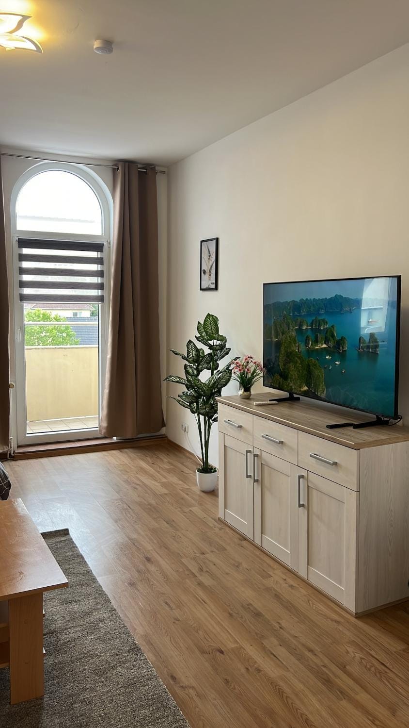 TV and multimedia