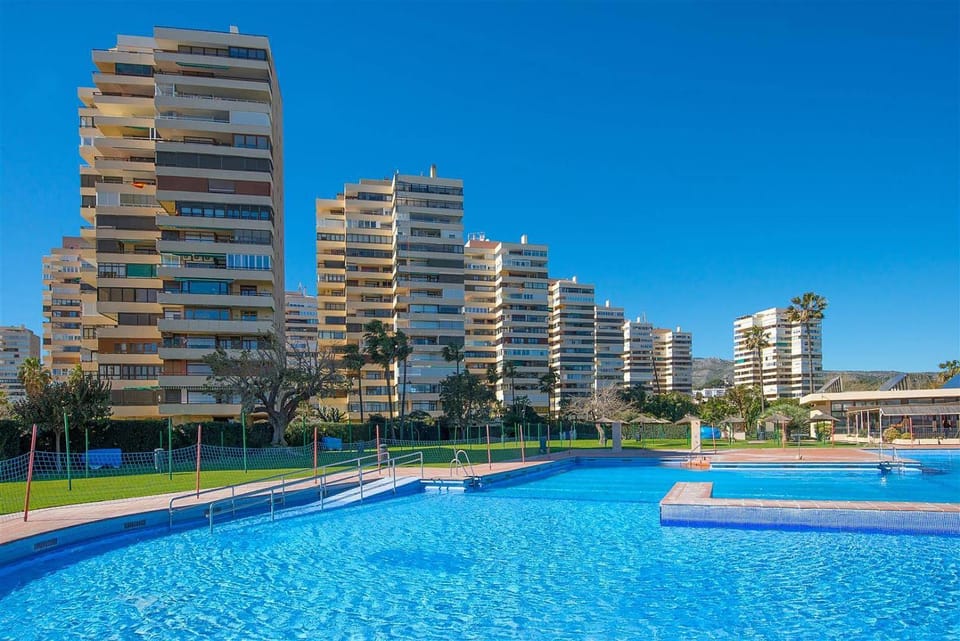 Property building, Garden, Swimming pool