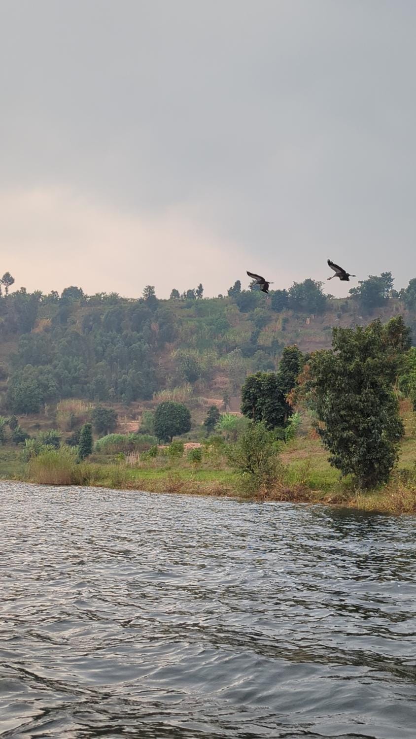 Twin Lakes Island Homestay Vacation rental in Africa