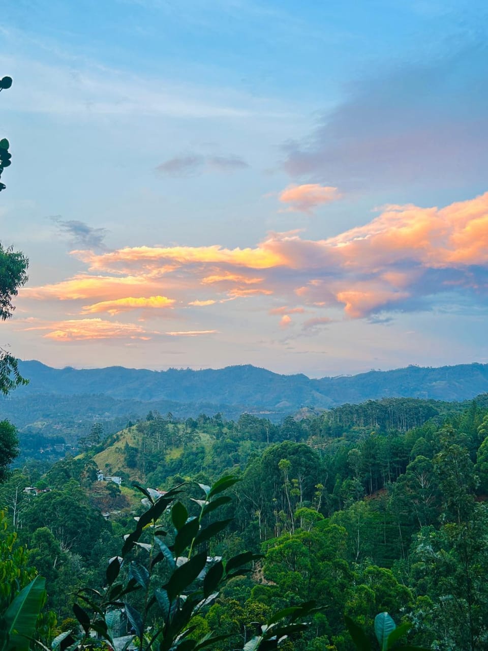 View (from property/room), Mountain view