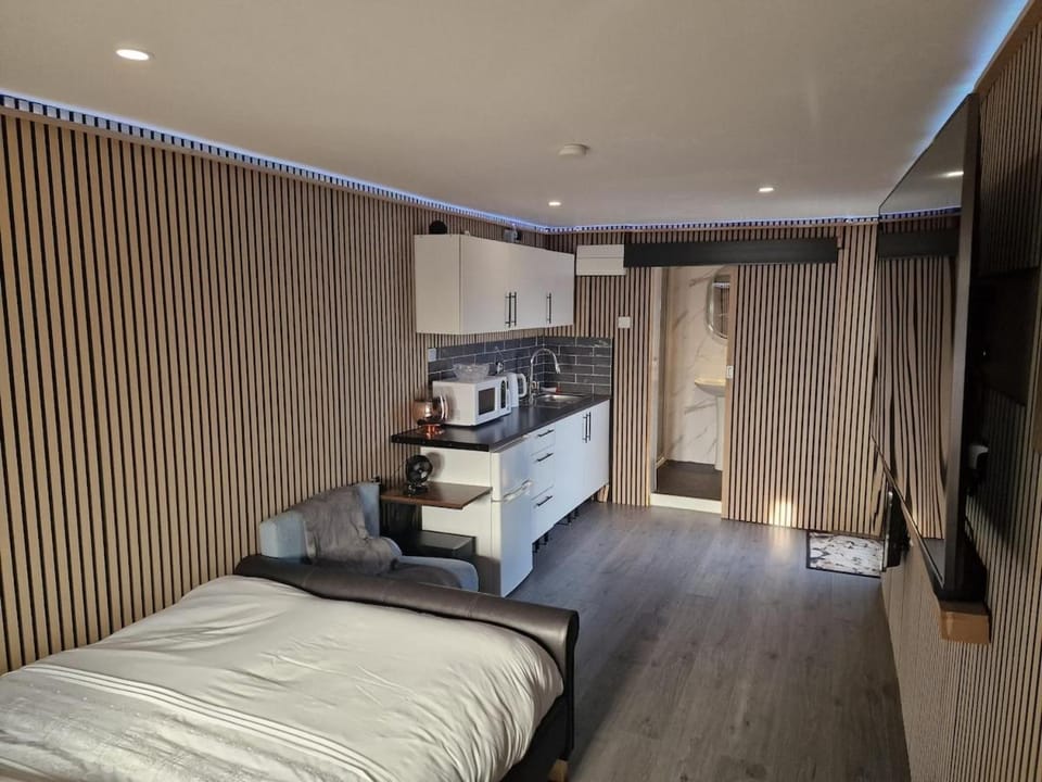 Bed, TV and multimedia, Kitchen or kitchenette, Photo of the whole room, Bedroom