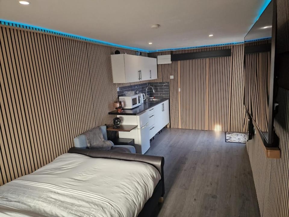 Bed, TV and multimedia, Kitchen or kitchenette, Seating area, Bedroom