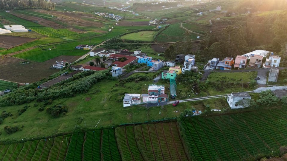 Property building, Bird's eye view