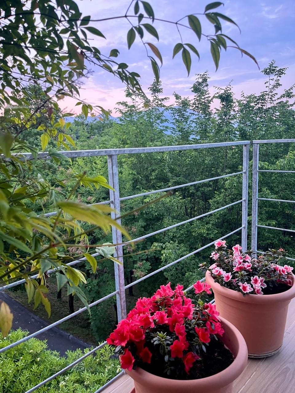 Luxury Lake View Villa Exclusive Resort Villa in Manerba del Garda