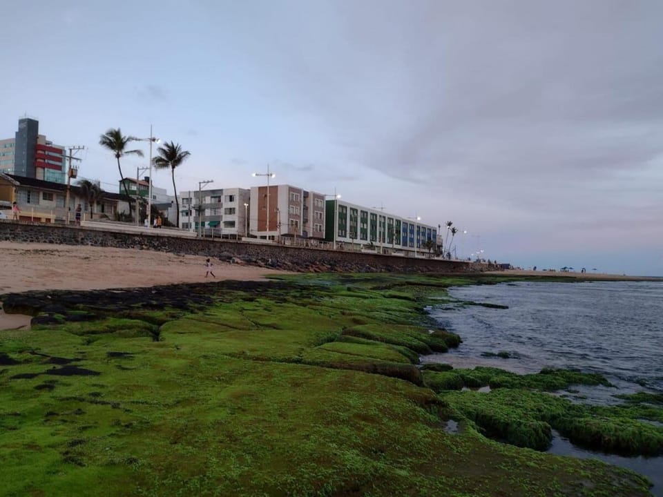 Waterfront Studio with a Privileged Ocean View Apartment in Salvador