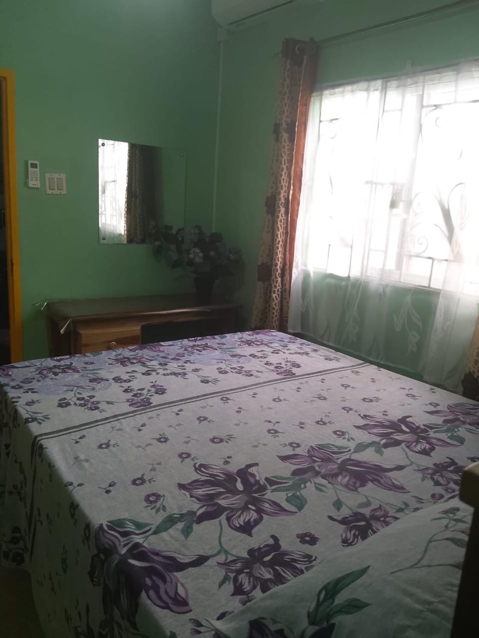 Panzeanas Lodge Apartment in Portland Parish