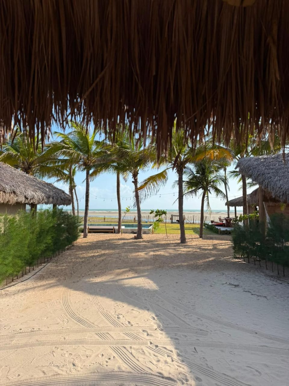 Wing house Bed and Breakfast in State of Ceará