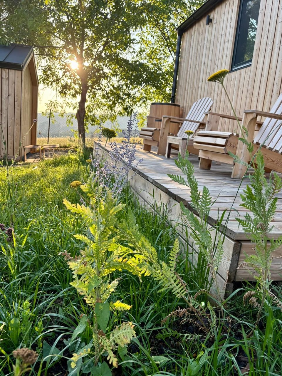 Patio, Garden view