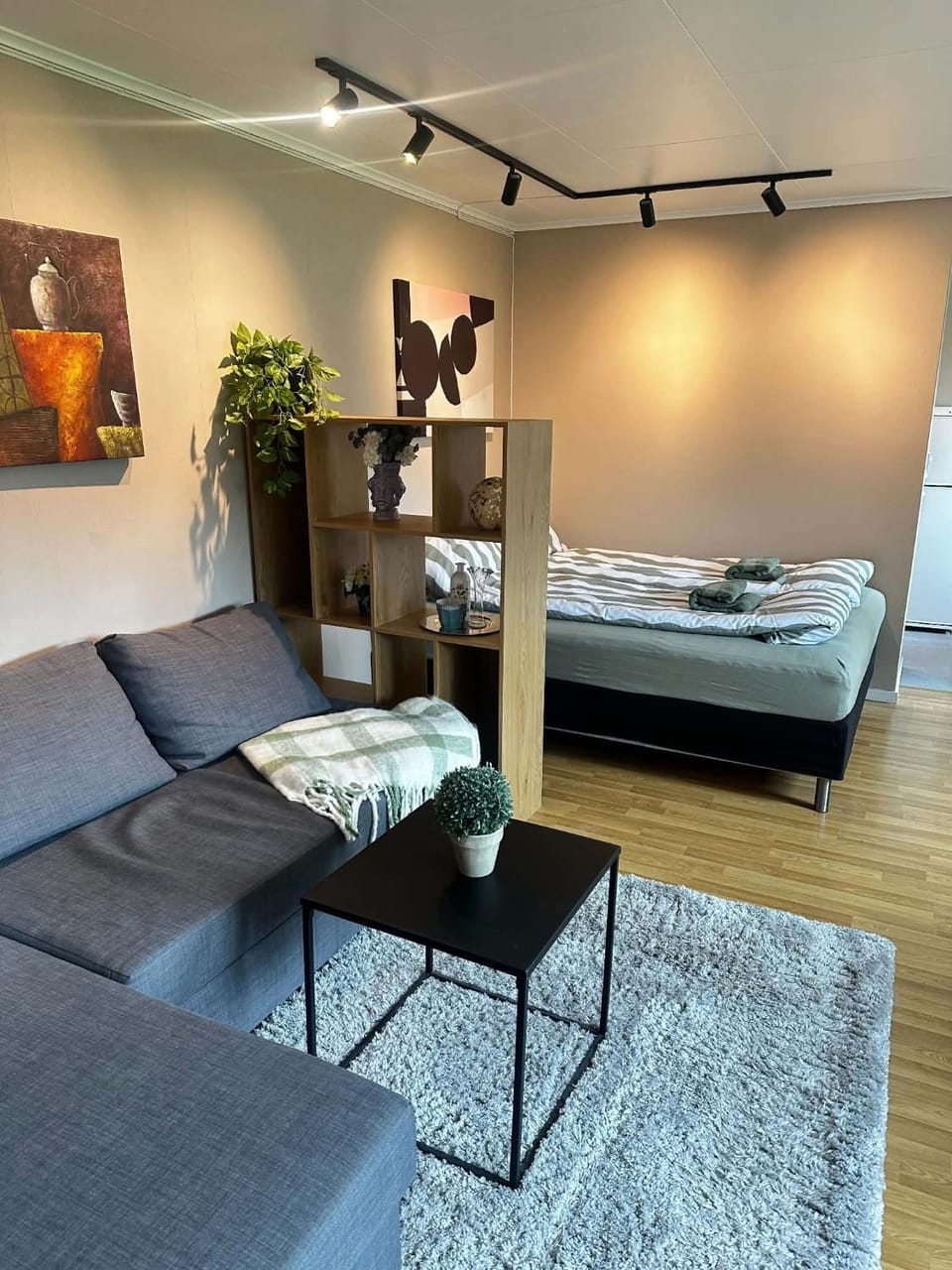 Bed, Living room, Photo of the whole room, Seating area