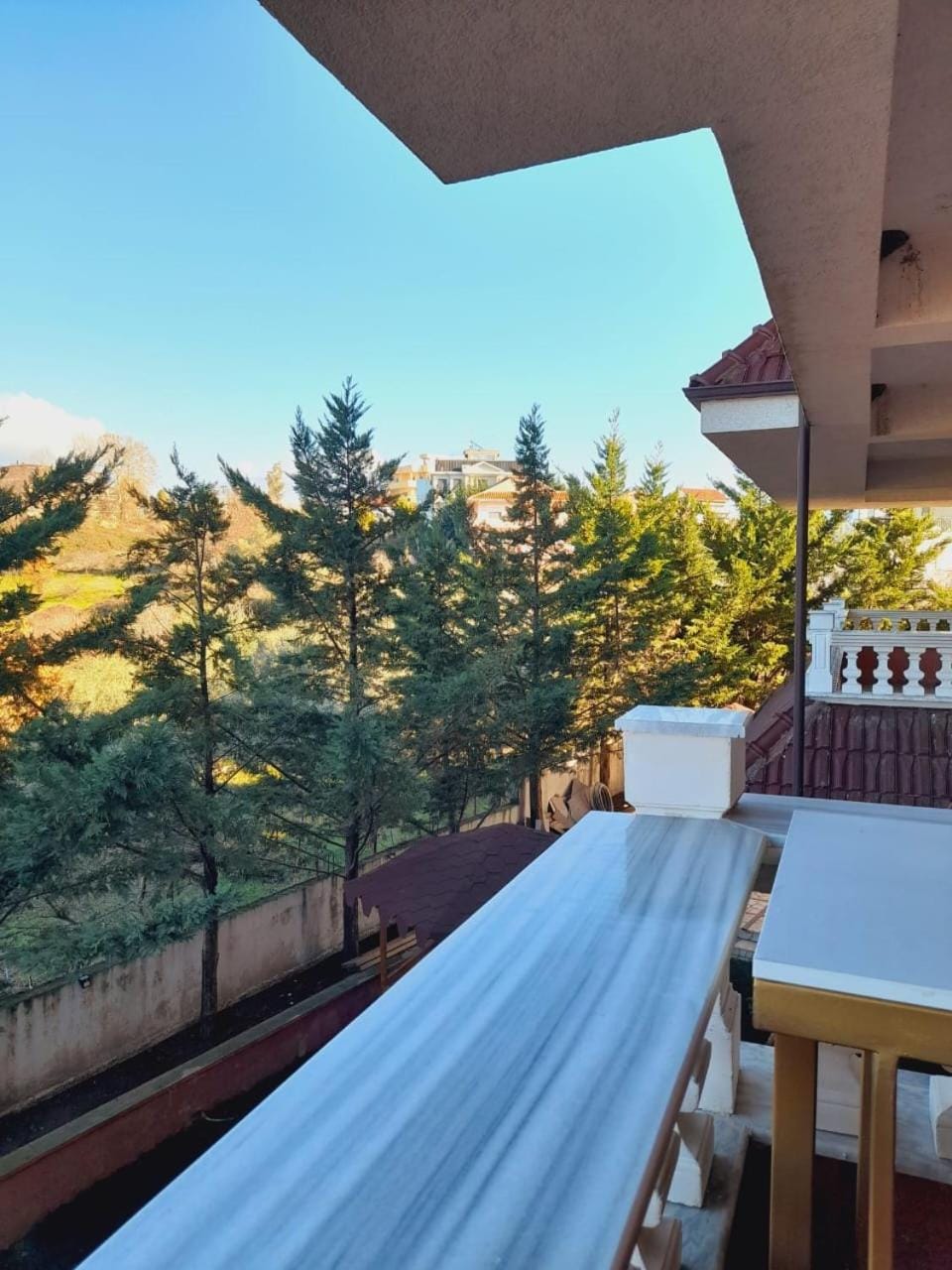 Garden view