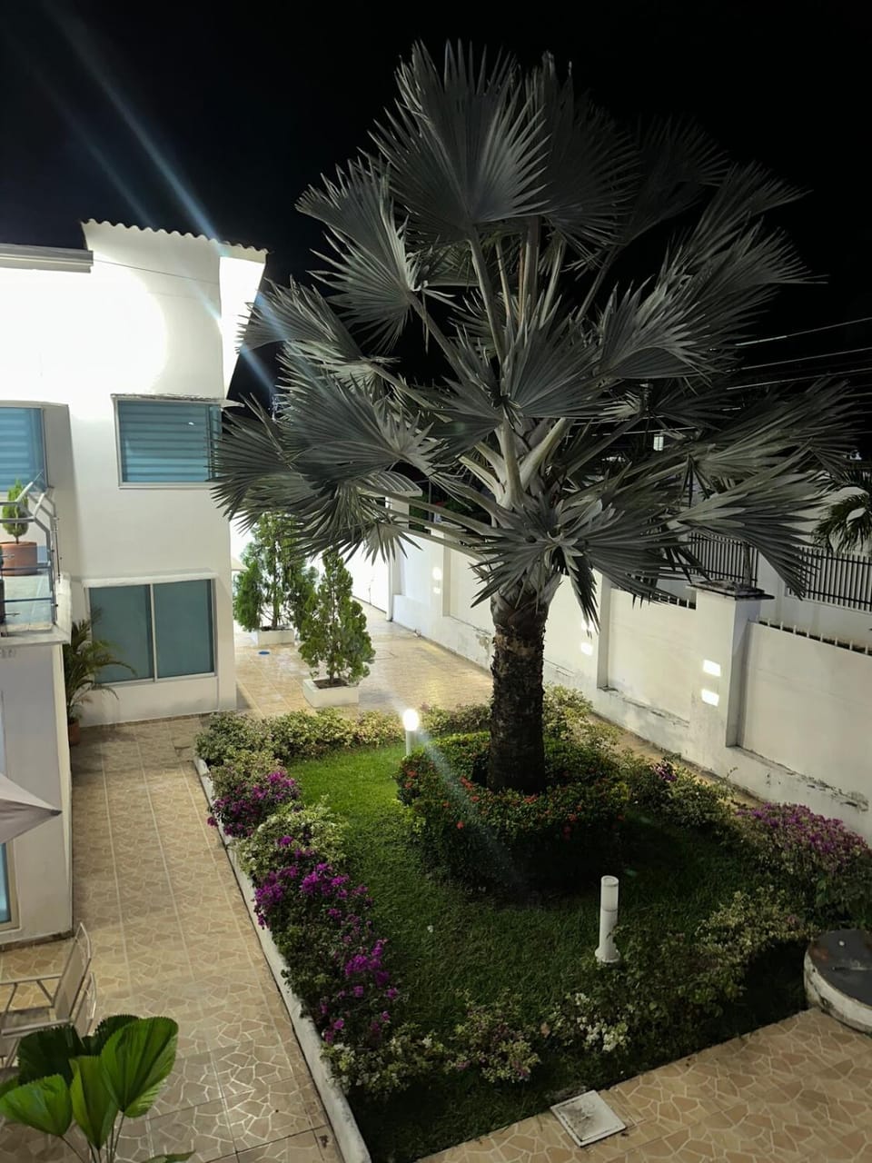 Garden view
