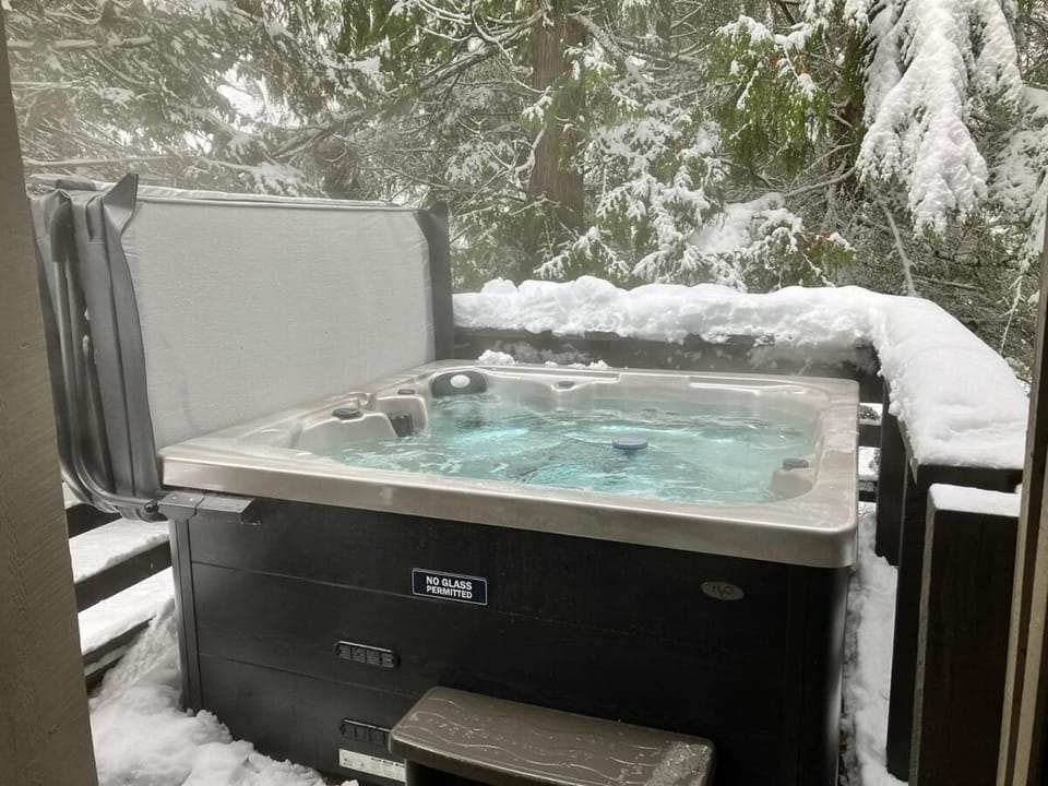 Private hot tub, pet friendly, 2 BR Snowgoose ski in townhome House in Whistler