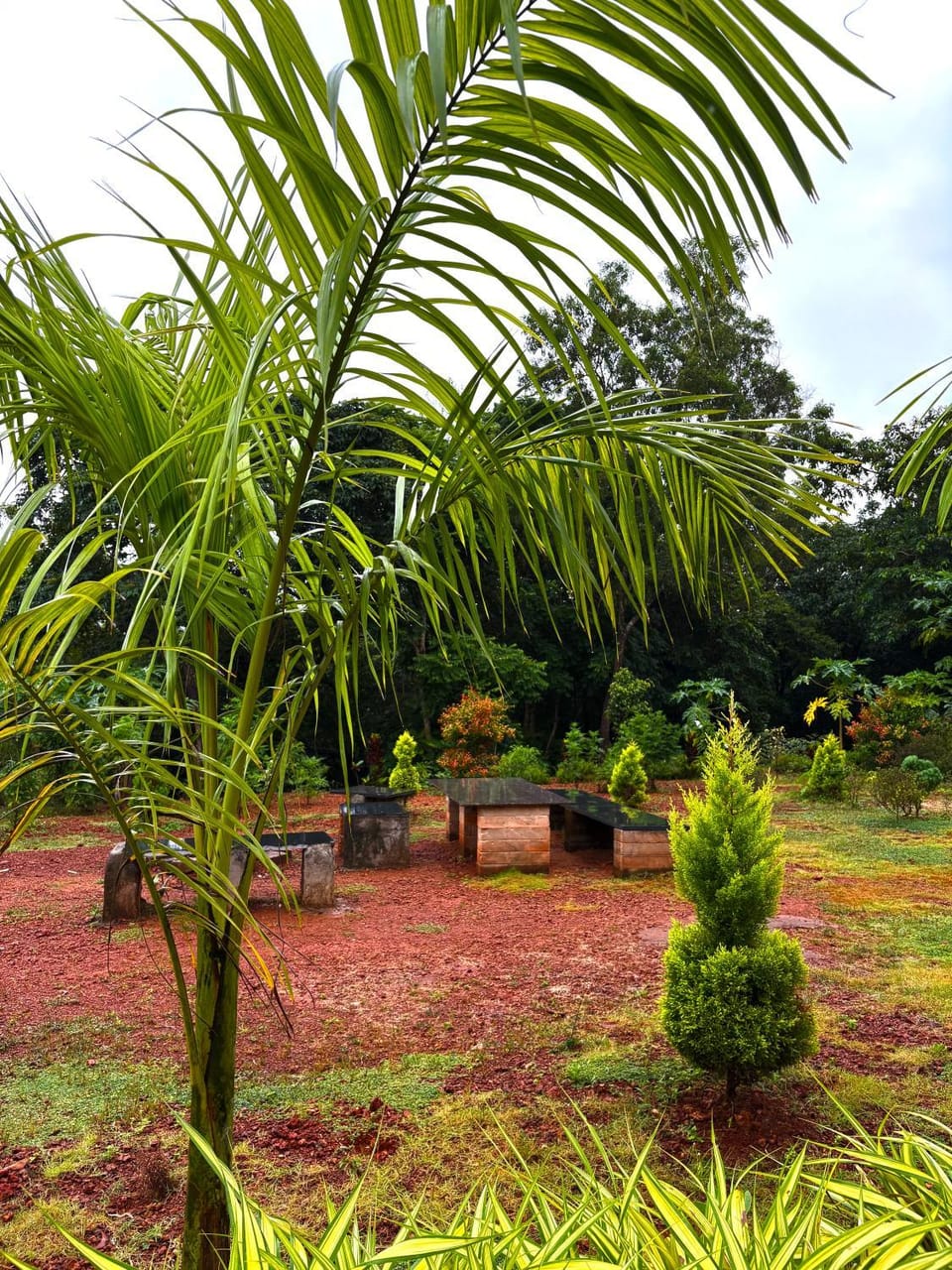 Natural landscape, Garden view