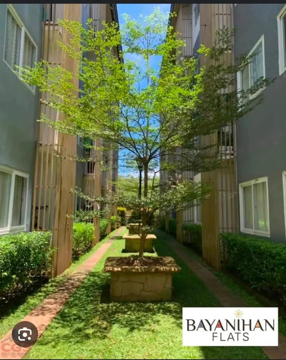 Natural landscape, Garden, Garden view
