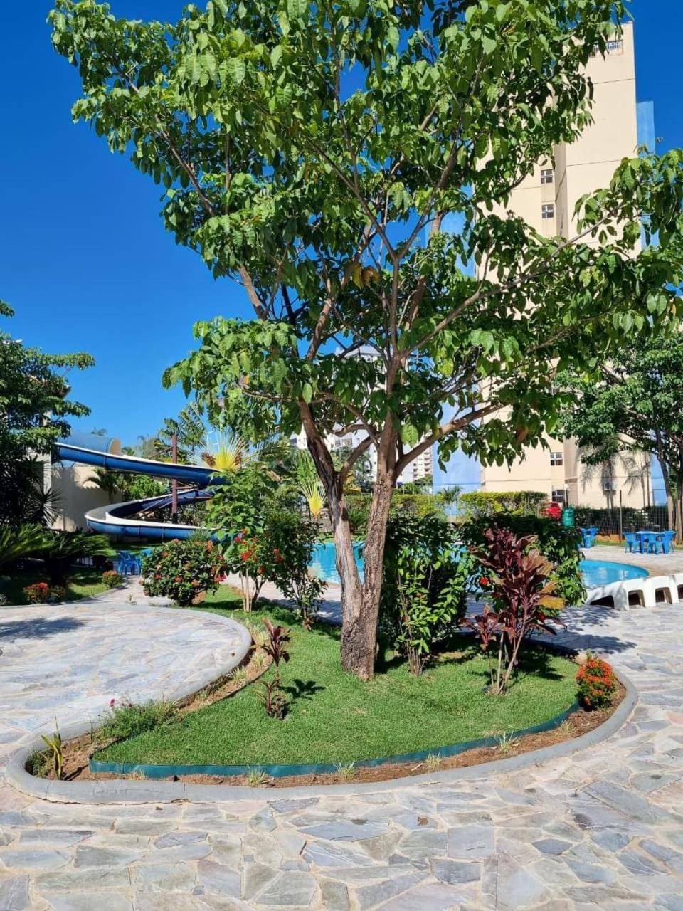Casinha de boneca Apartment in State of Goiás