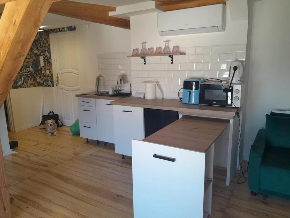 Green attic Apartment in Poznan