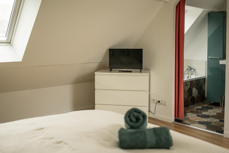 Duplex Indépendant Centre d'Olivet Apartment in Orléans