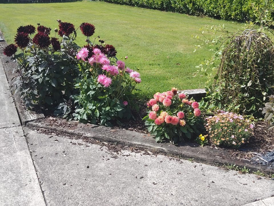 Annie's place Vacation rental in County Clare