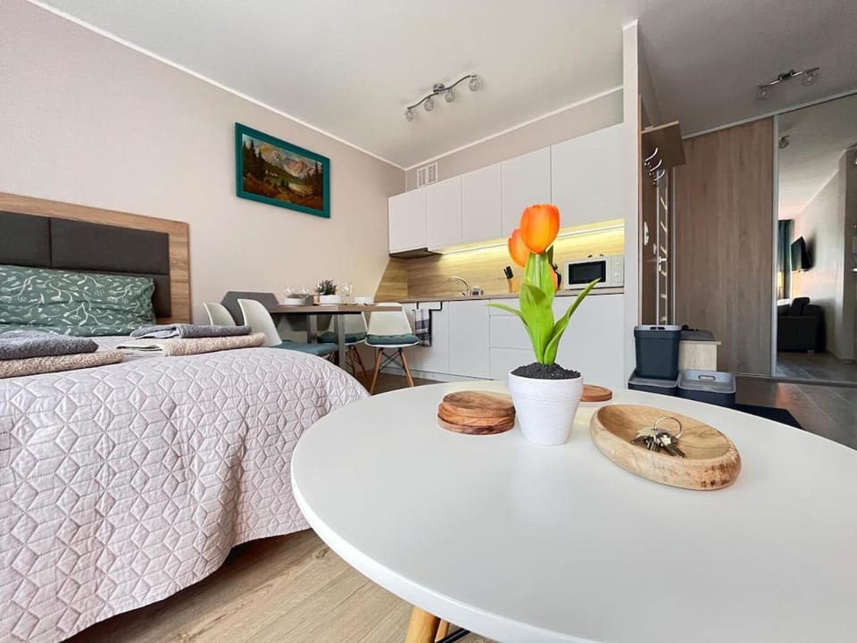Kitchen or kitchenette, Bedroom