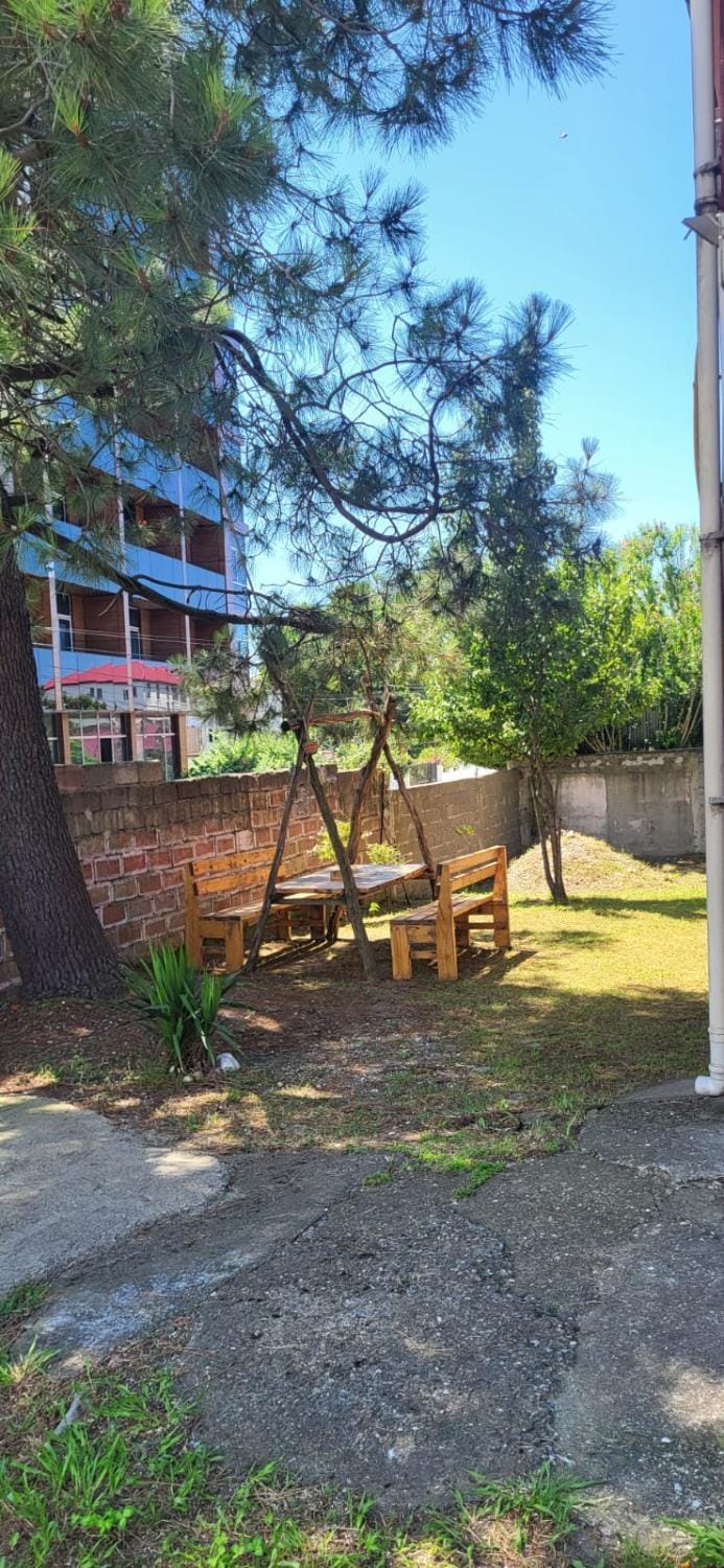 Natural landscape, Garden view
