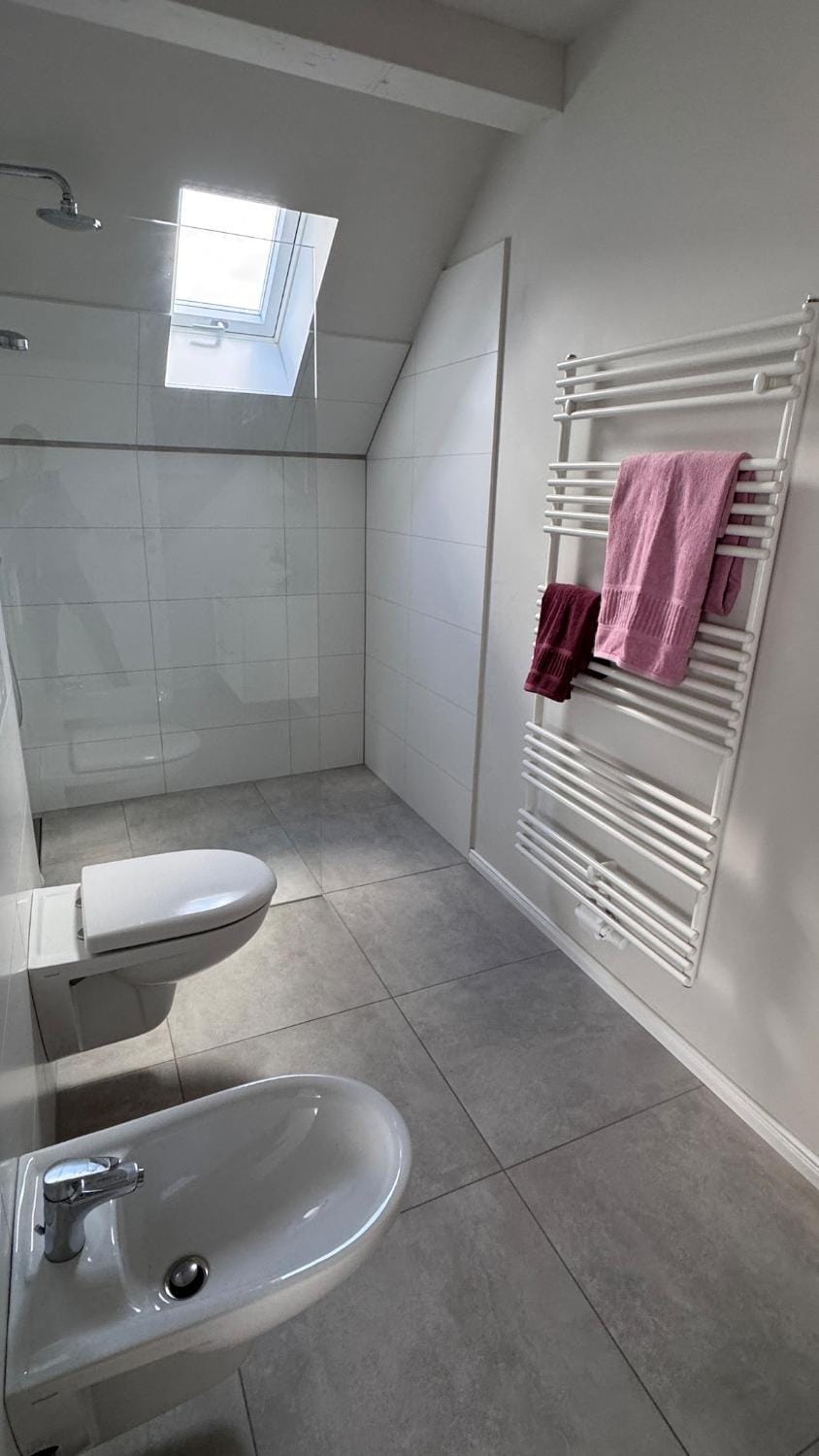 Shower, Toilet, Bathroom, towels