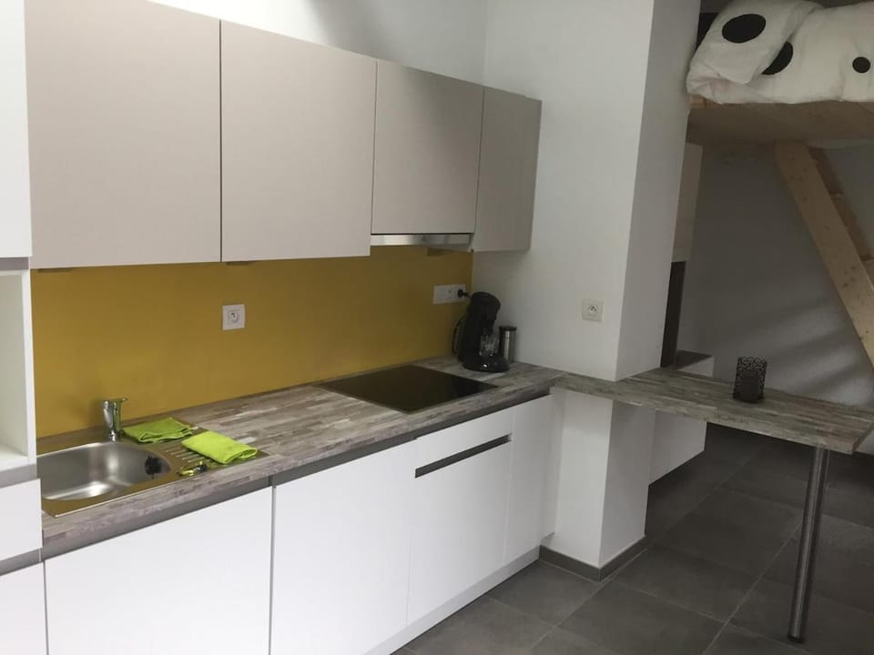 Studio Concept Apartment in Belgium