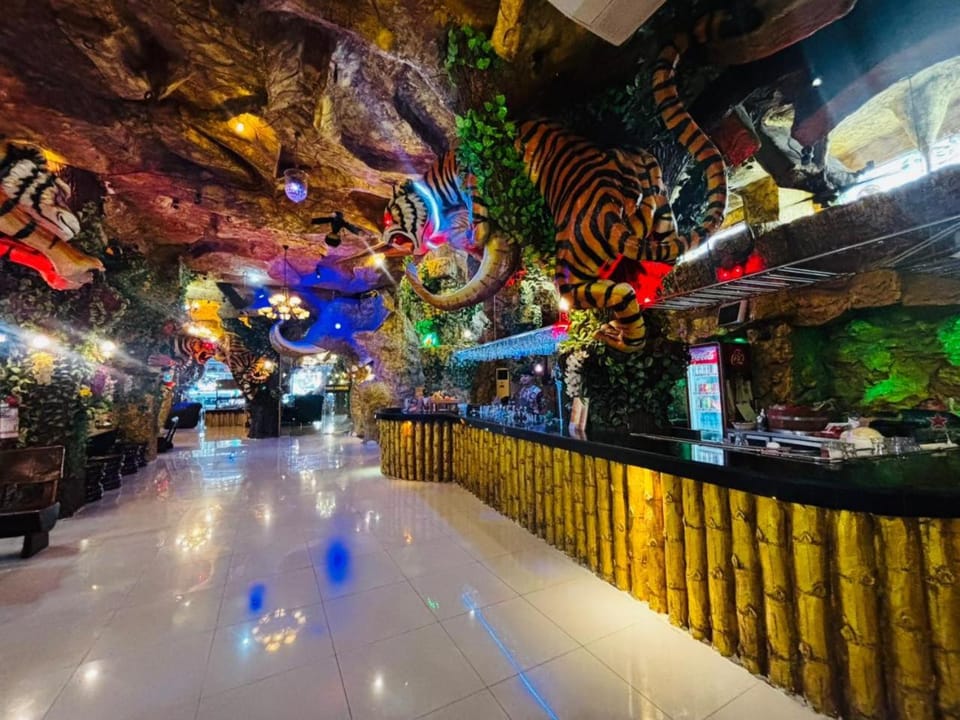 Casino, Nightclub / DJ, Lounge or bar, minibar