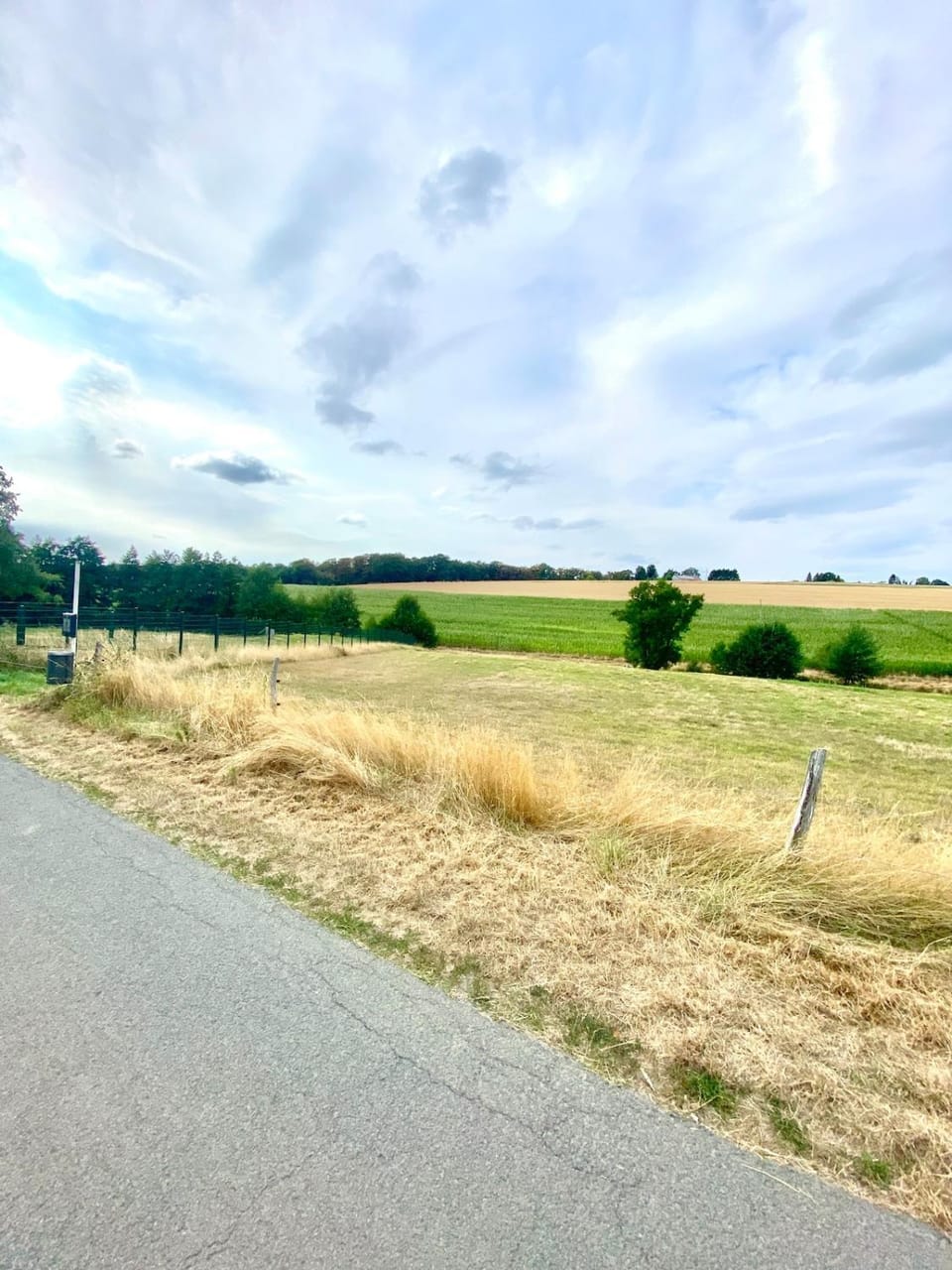 Natural landscape