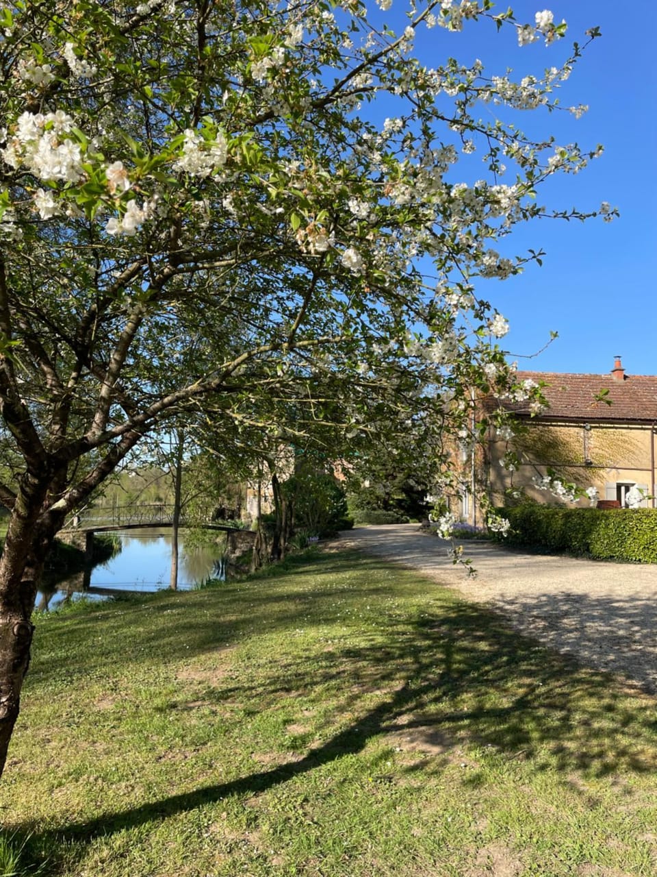 Riverside cottage l Perfect for Loire Valley escapes l fishing l cycling l paddle l nature House in Pays de la Loire