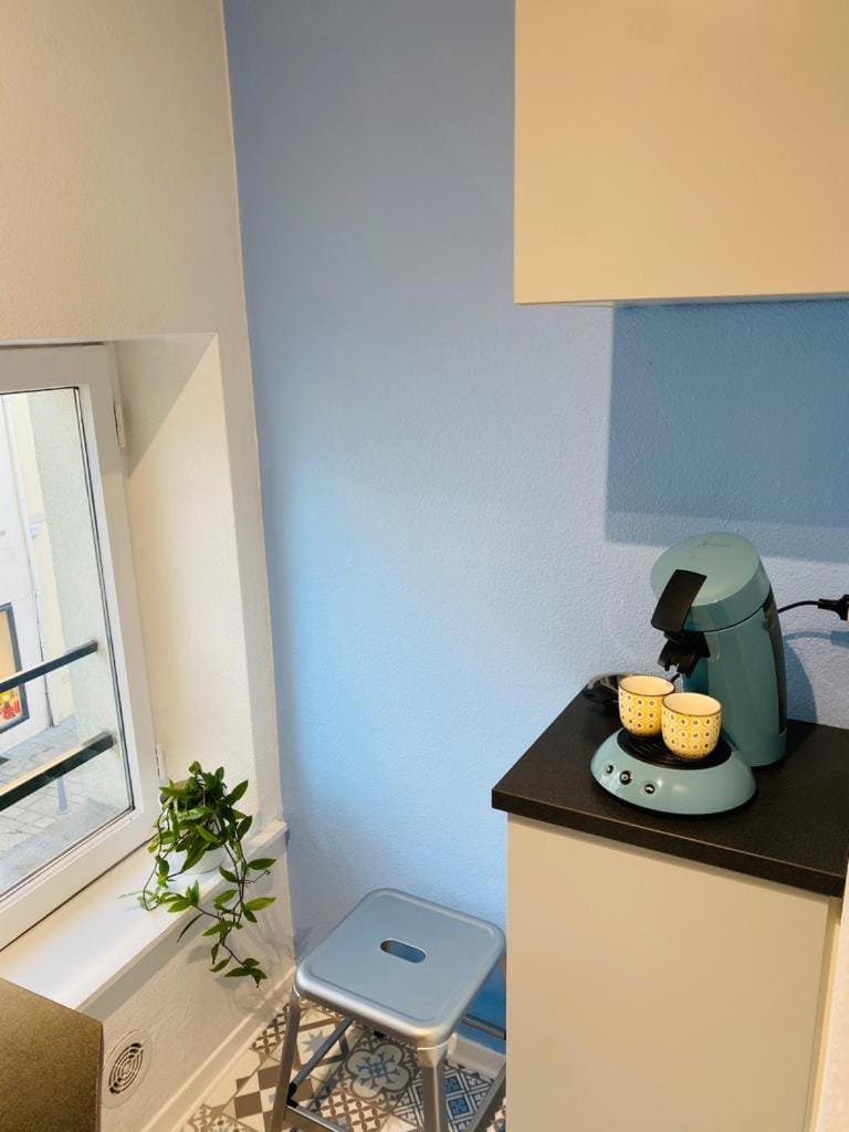 Cozy F2 appartement Le Petit Nicolas Apartment in Nancy