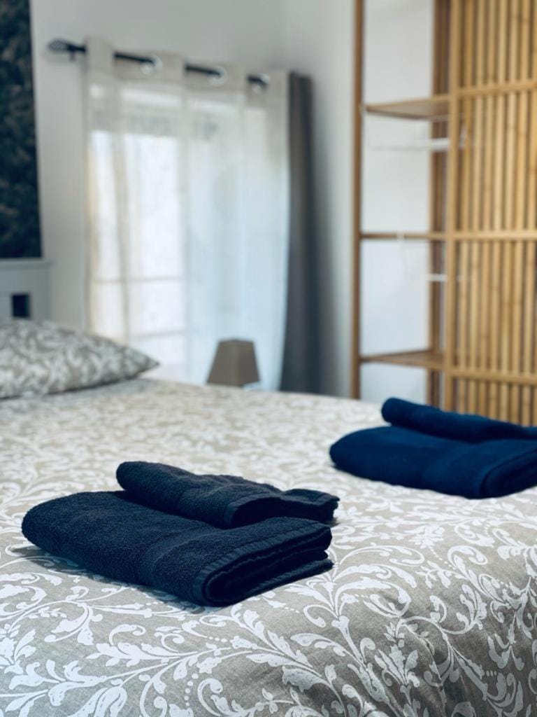 Cozy F2 appartement Le Petit Nicolas Apartment in Nancy