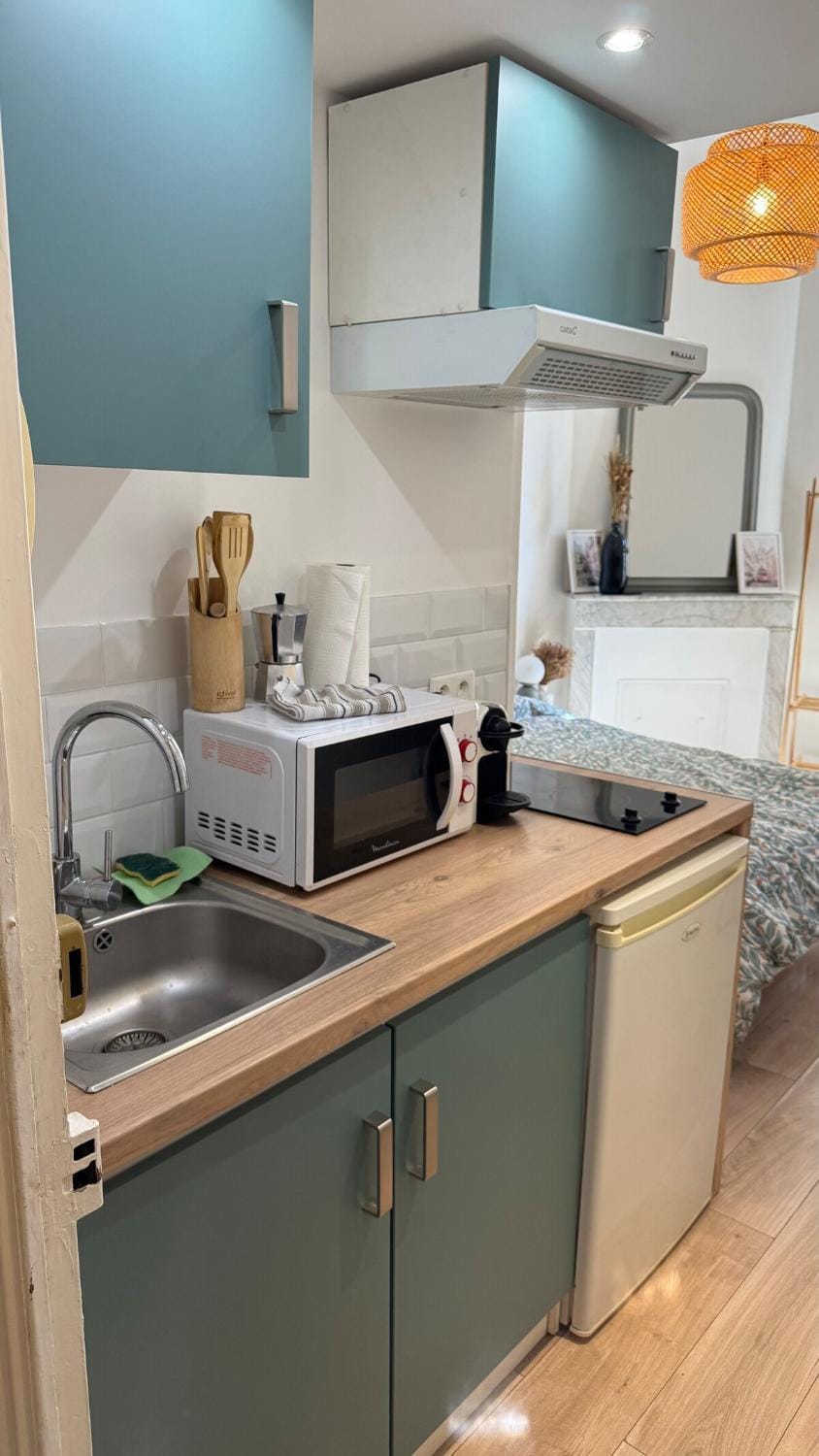 Le Clémenceau - studio au cœur de cannes Apartment in Cannes