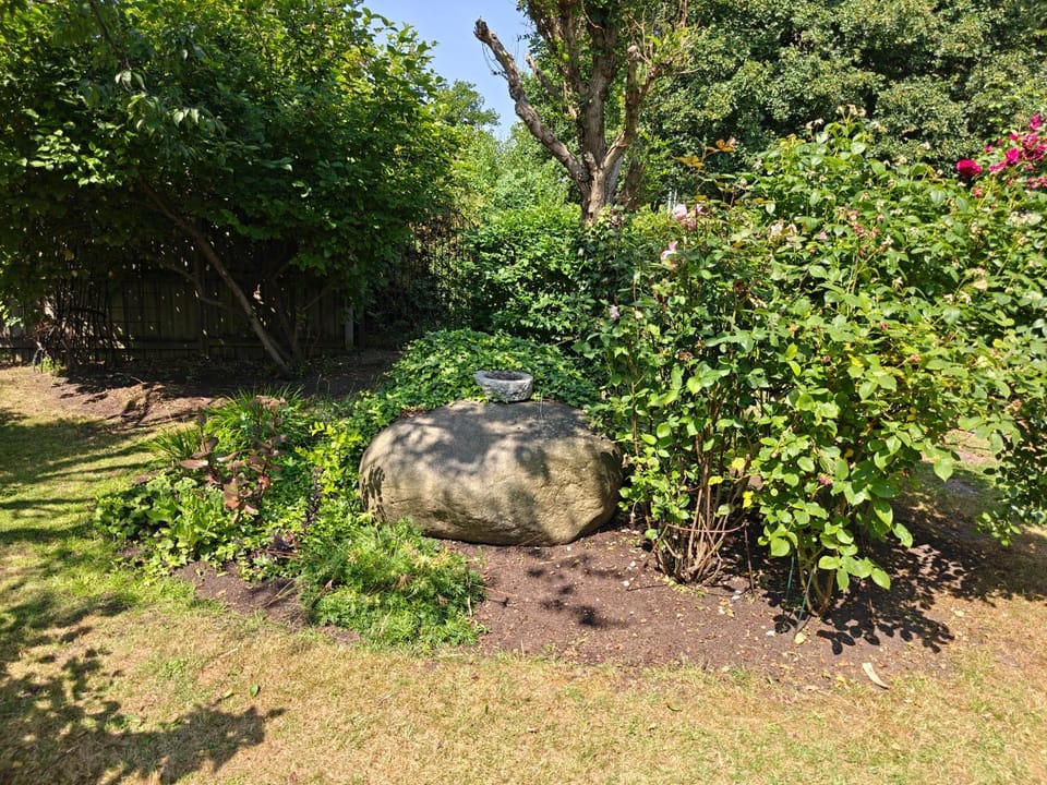 Garden view