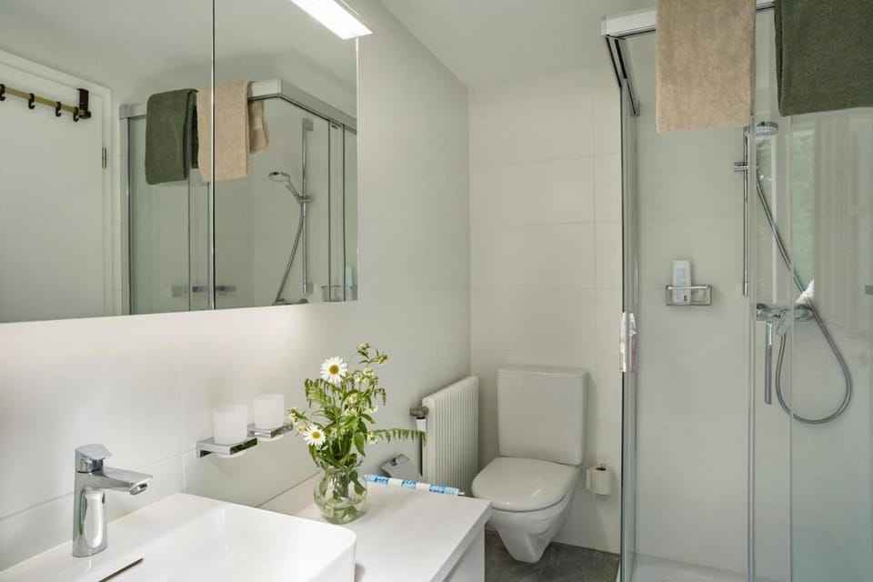 Wild Valley Private Getaway in Valle Onsernone Apartment in Canton of Ticino