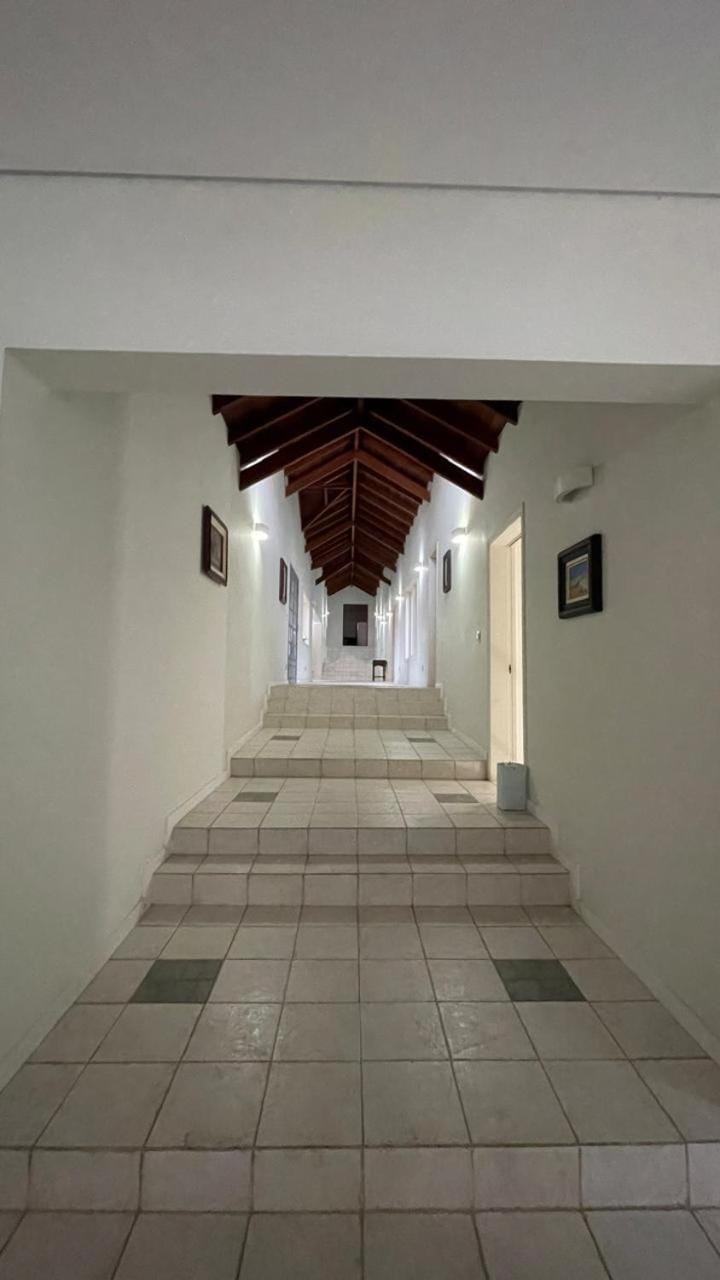 Casa das Palmeiras House in Cotia