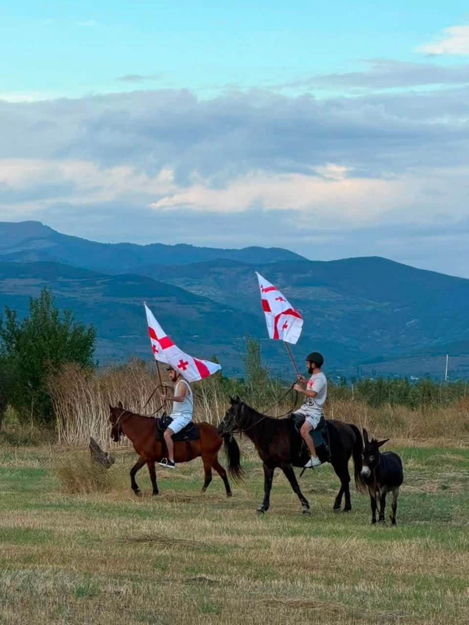 Day, People, Natural landscape, Horse-riding, Animals, group of guests