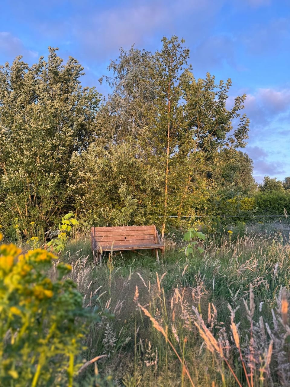 Spring, Day, Natural landscape, Summer, Garden, Garden view