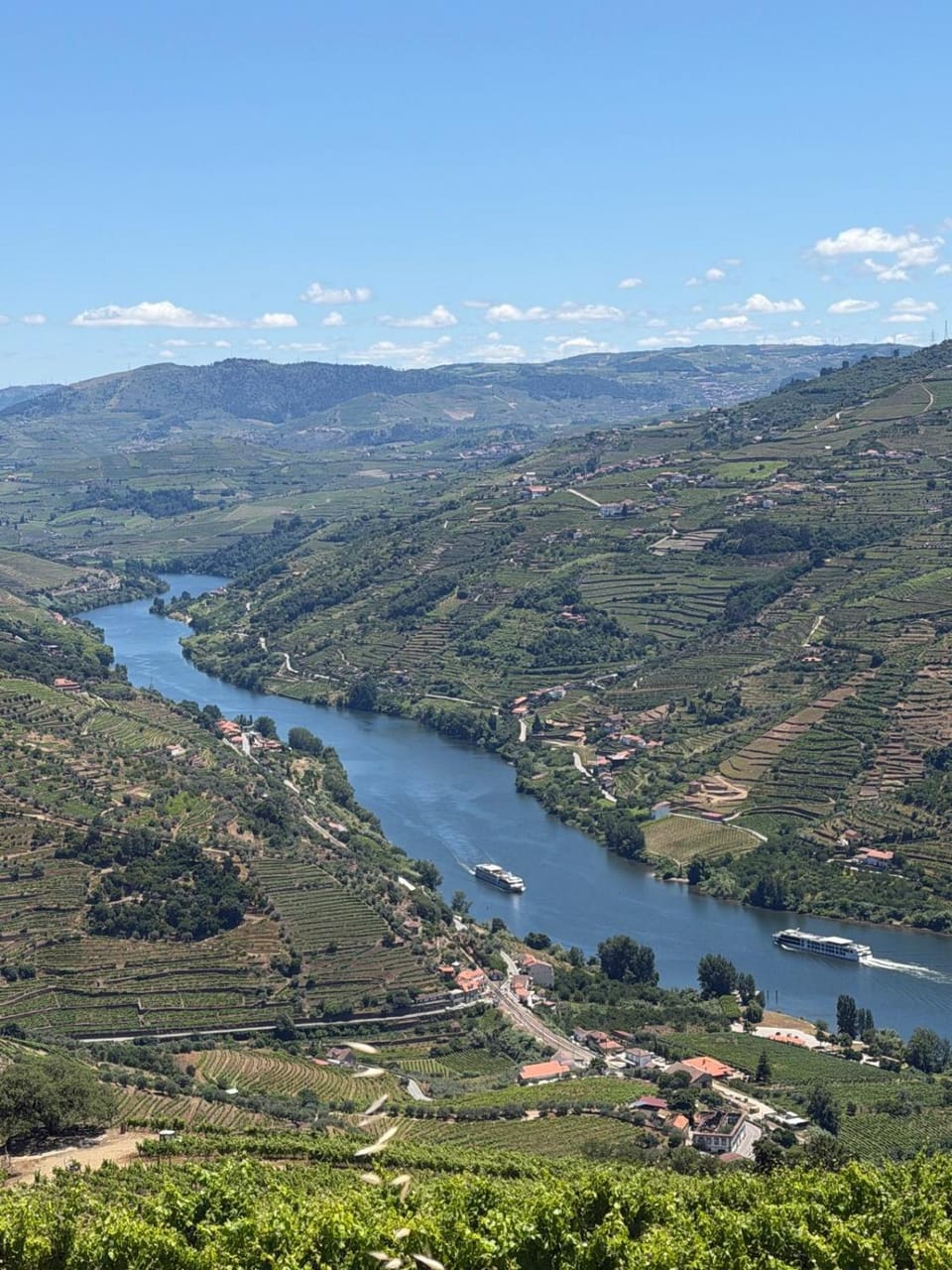 Casa da Mina A peaceful haven in Douro valley House in Porto District