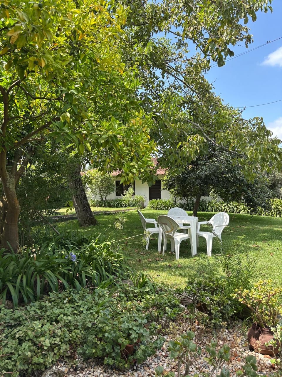 Casa Leonor - the grandma's house Apartment in Pombal