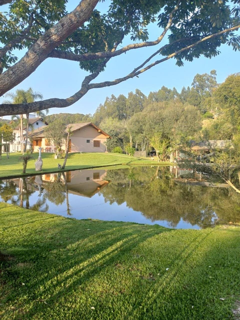 Lake view